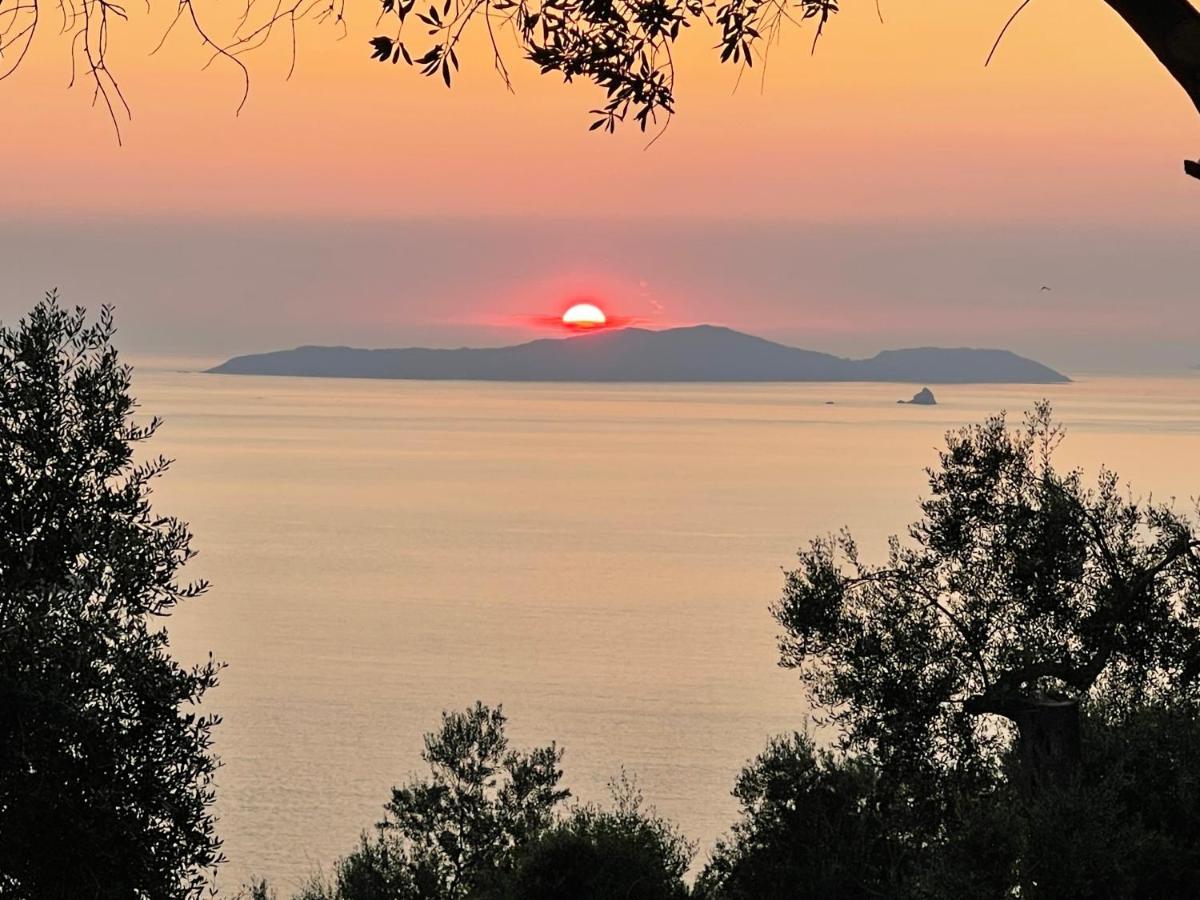 Arillas Hillside Villa 3 - Provence Exterior foto